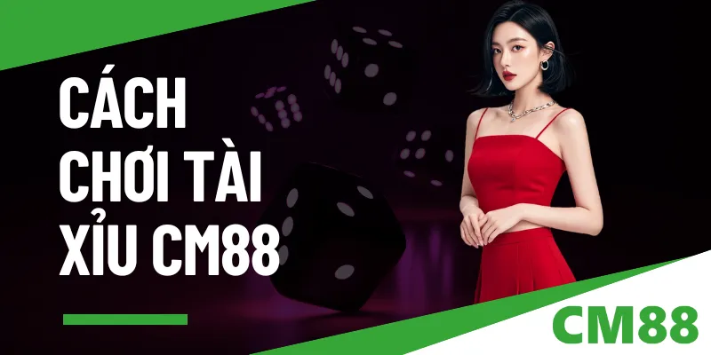 Cách chơi tài xỉu chuẩn 2025 - Mẹo cao thủ dễ áp dụng